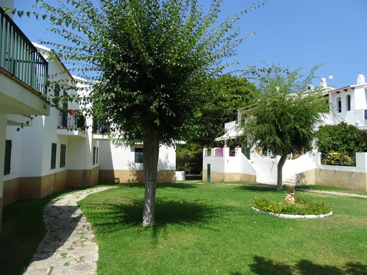 Apartamento Gecko Apartment